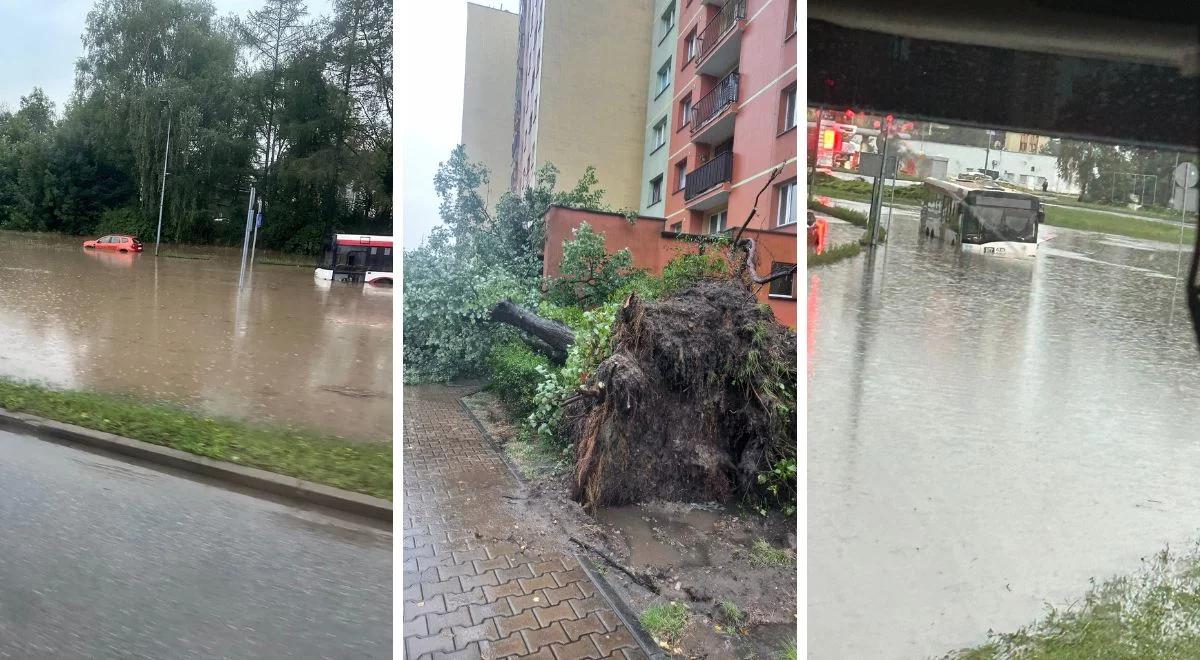 "Opad niespotykany do tej pory". Zalane miasto, a to nie koniec