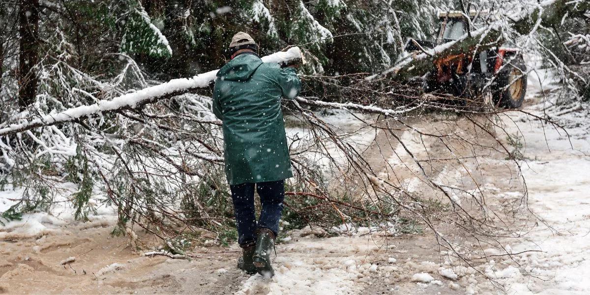 Pogoda. Wichury i ulewy nad Polską. IMGW wskazał regiony objęte alertem