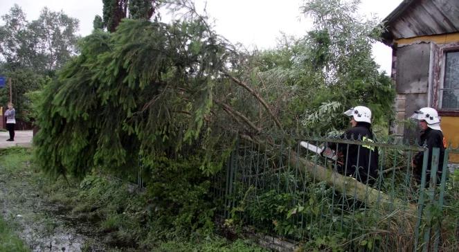 Kolejna burzowa noc. Wracają groźne nawałnice?
