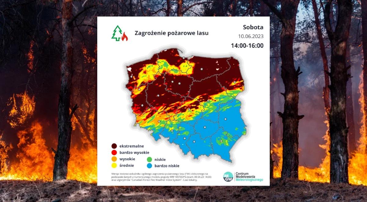 Uwaga! Ekstremalnie wysokie zagrożenie pożarowe w lasach. Alert RCB