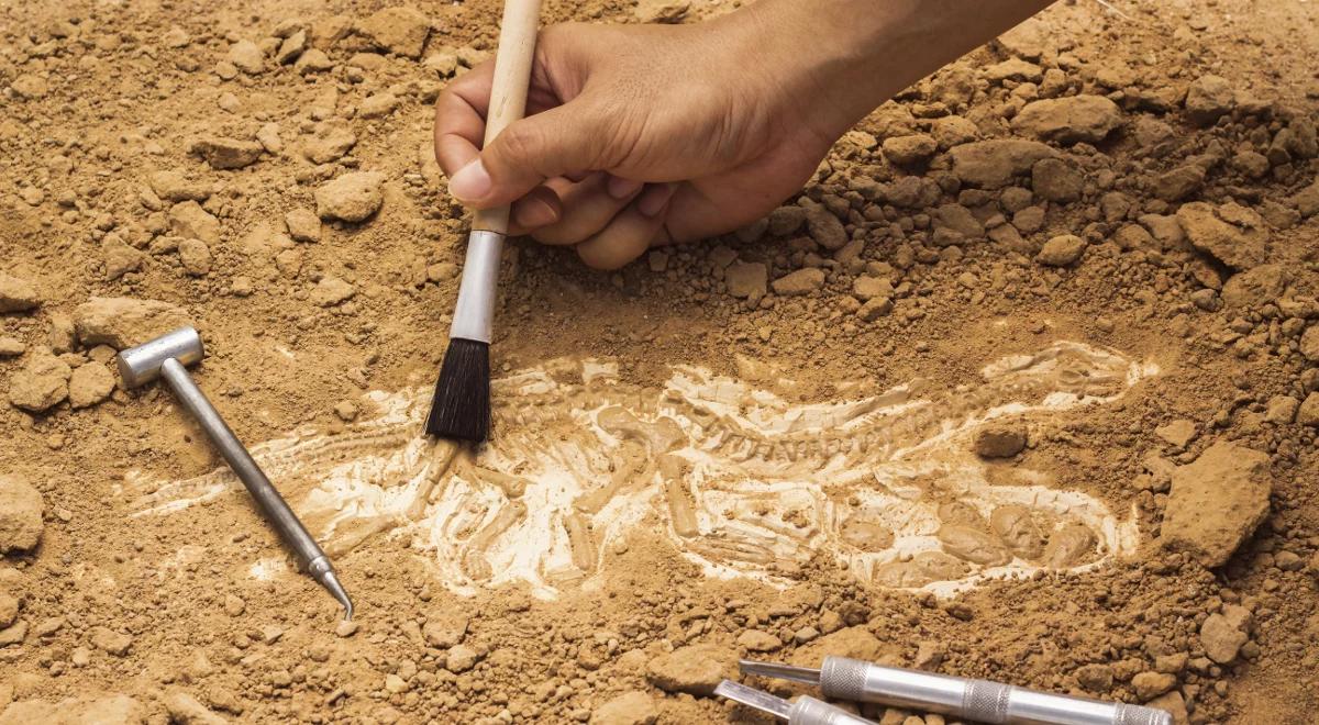 Rzadkie znaleziska krakowskich archeologów w Kazimierzy Wielkiej