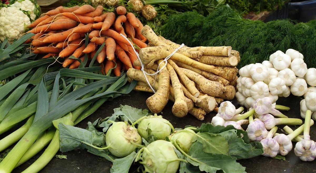 Rolnicy słabo zorganizowani w grupy producenckie. Tracą przez to pieniądze