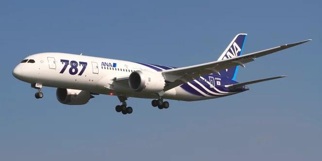 Boeing znów ma kłopoty z Dreamlinerami. Pęknięcia w skrzydłach?