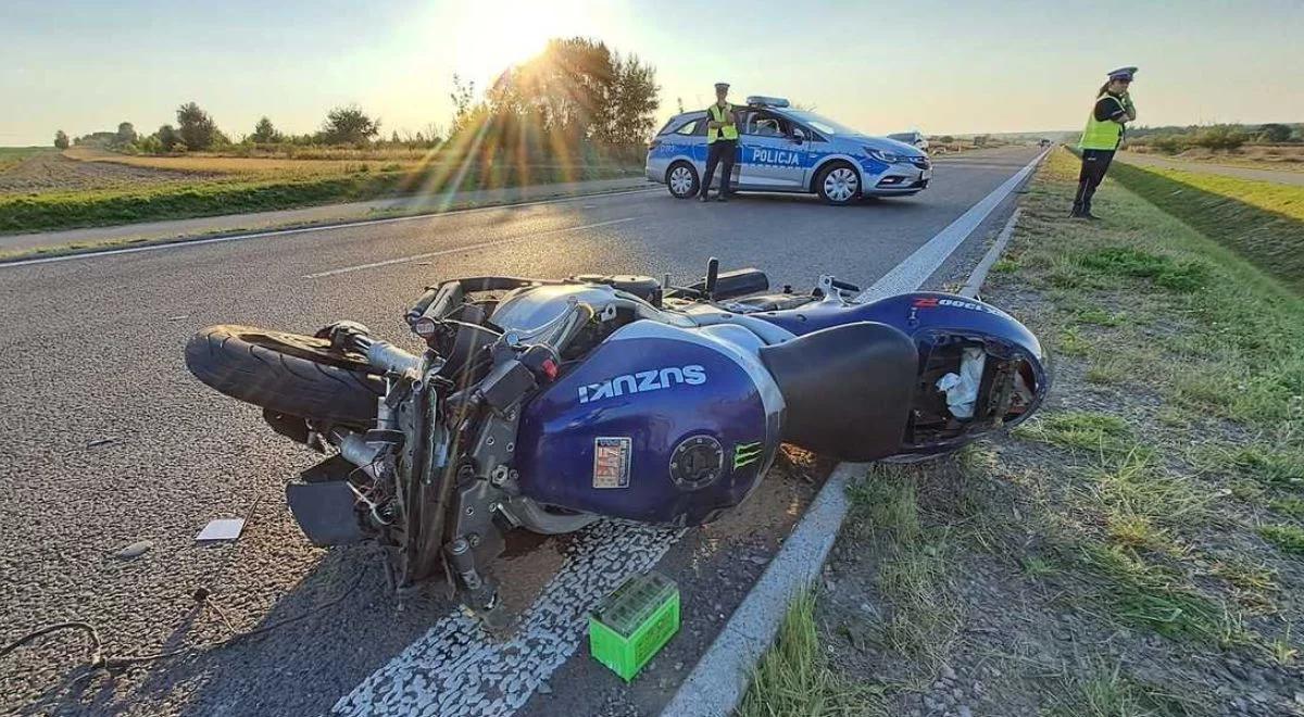 Łoś wbiegł pod koła. Zginął motocyklista, zwierzę też nie przeżyło