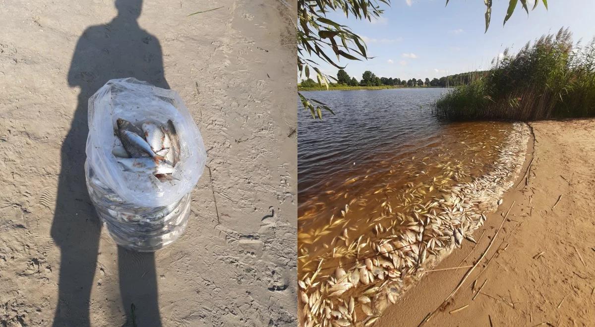 Śnięte ryby w kolejnym jeziorze. Służby sprawdzają sytuację, jest podejrzenie zatrucia