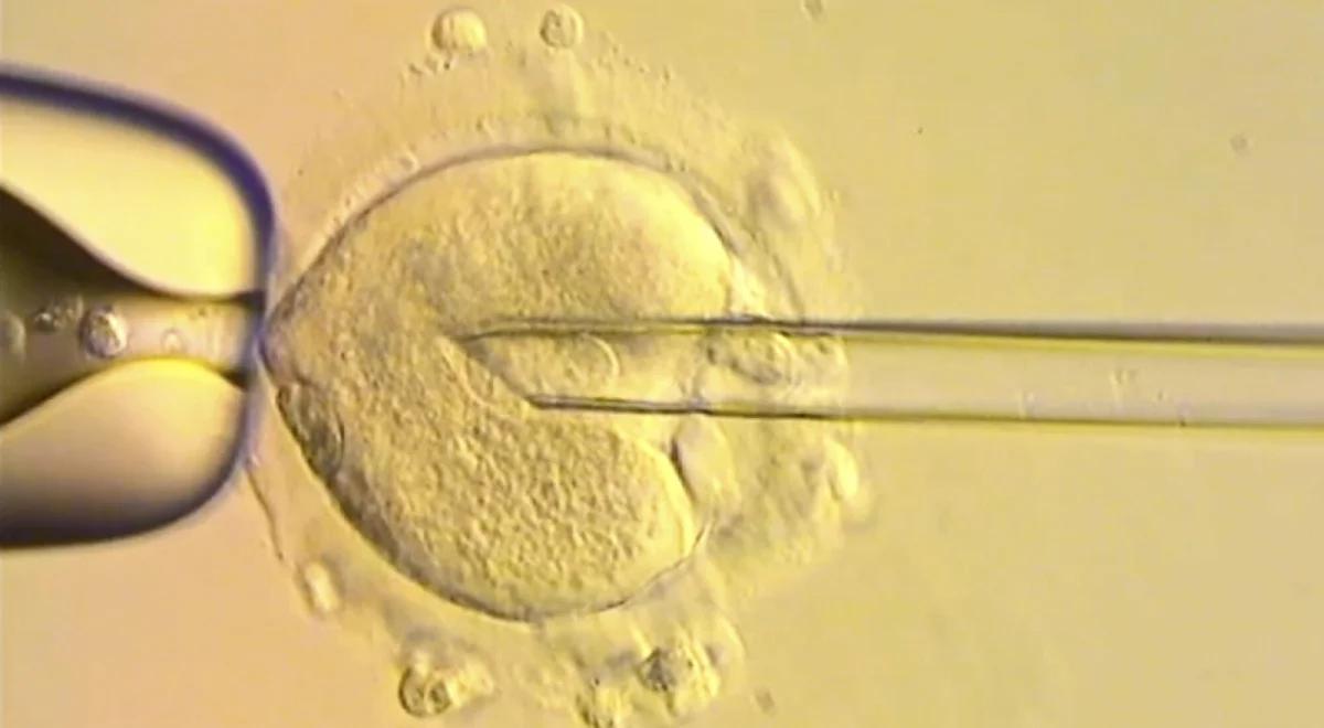 Sukces innowacyjnej metody in vitro. Dzieci zdrowe mimo wysokiego ryzyka