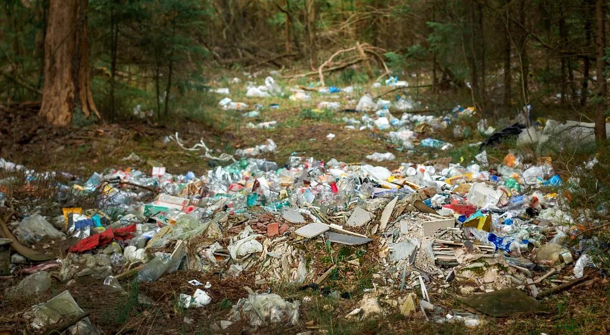 Wyższe kary za zanieczyszczanie środowiska. Wiceminister klimatu: Polska jest w awangardzie UE