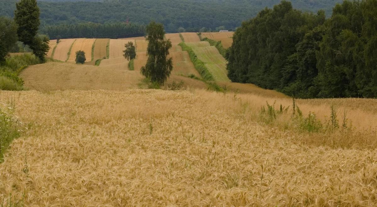 Wojciechowski: KE przygotowuje rozwiązania, dotyczące ukraińskiego zboża