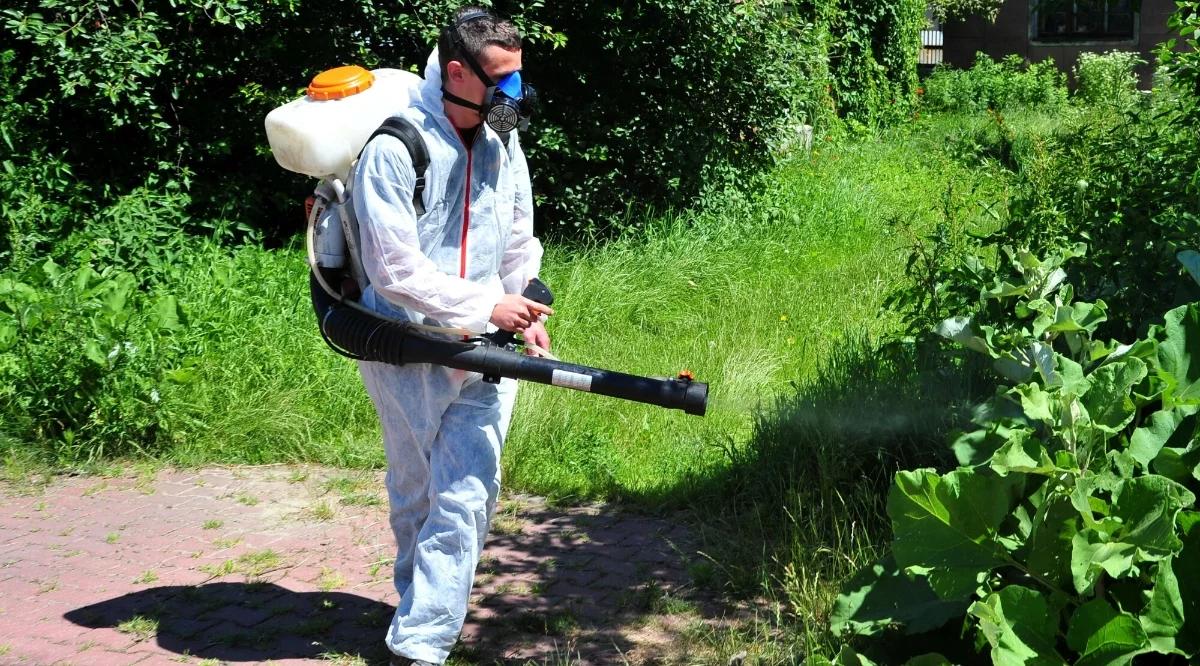 Po ulewach mogą się pojawić chmary komarów. Kleszcze już są. "Obecna aura im sprzyja"