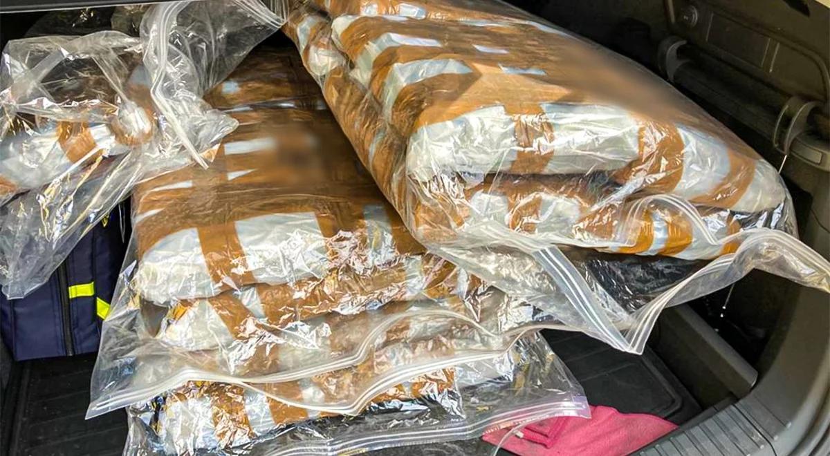 Wspólna akcja CBŚP i francuskich służb. Przejęto 72 kilogramy marihuany, zatrzymano sześć osób