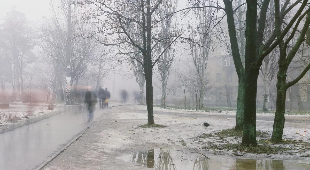 Prognoza pogody: nawet 14 stopni na plusie. Przelotne opady deszczu w całym kraju
