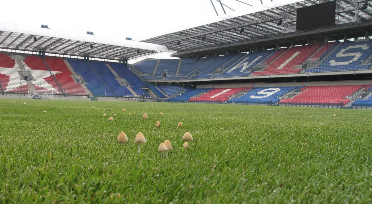 Ekstraklasa: miasto podpisało z Wisłą krótkoterminową umowę. Klub pierwsze trzy mecze sezonu rozegra przy Reymonta