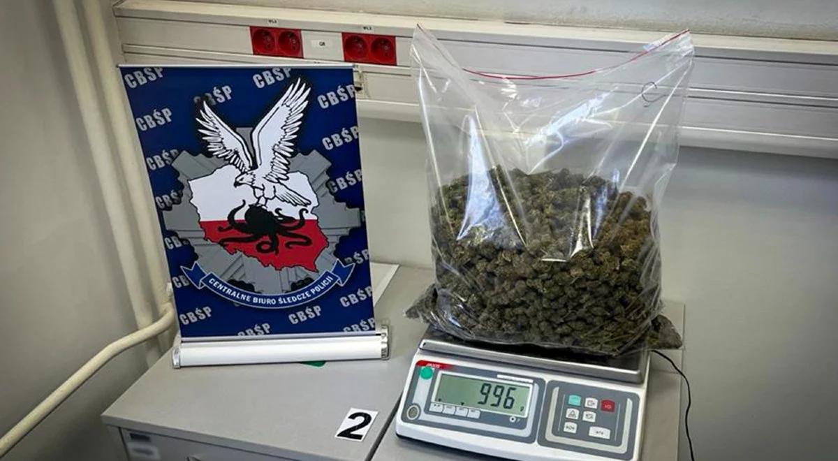 Przemycili z Hiszpanii do Polski marihuanę wartą 8 mln zł. Przed sądem stanie 10 osób