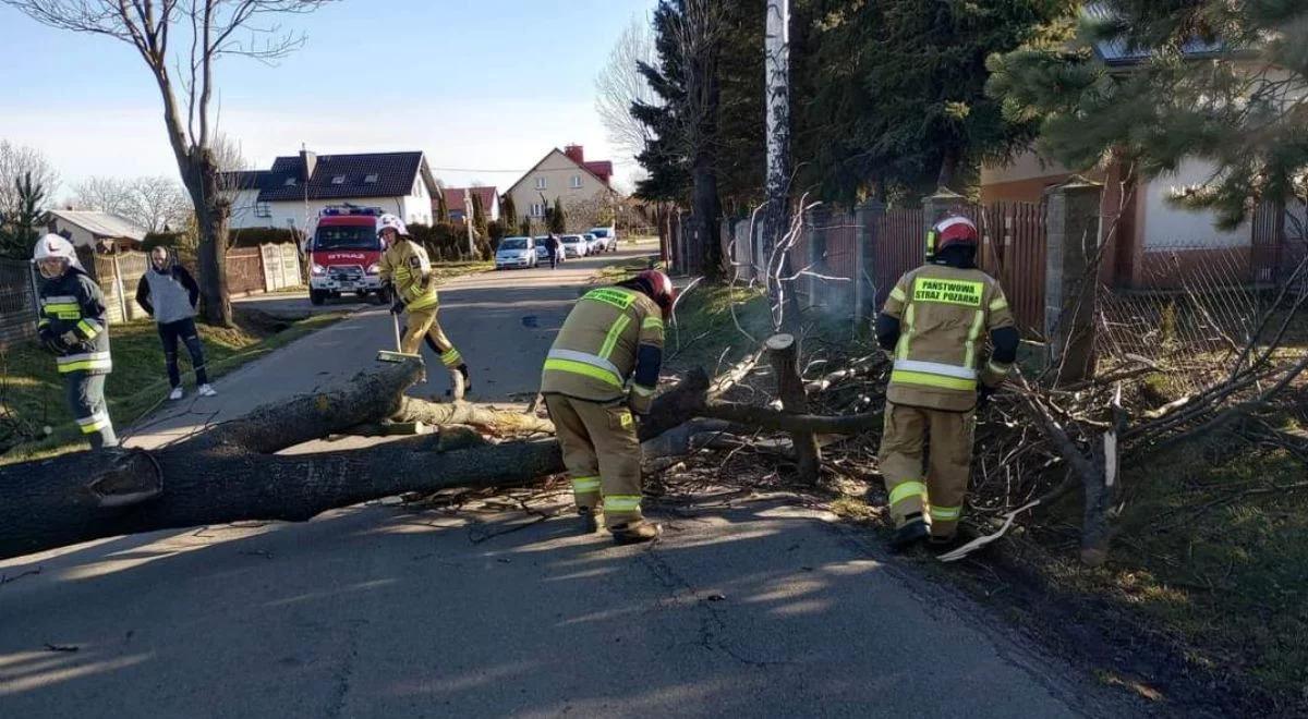 Uwaga na silny wiatr! RCB wysyła alerty