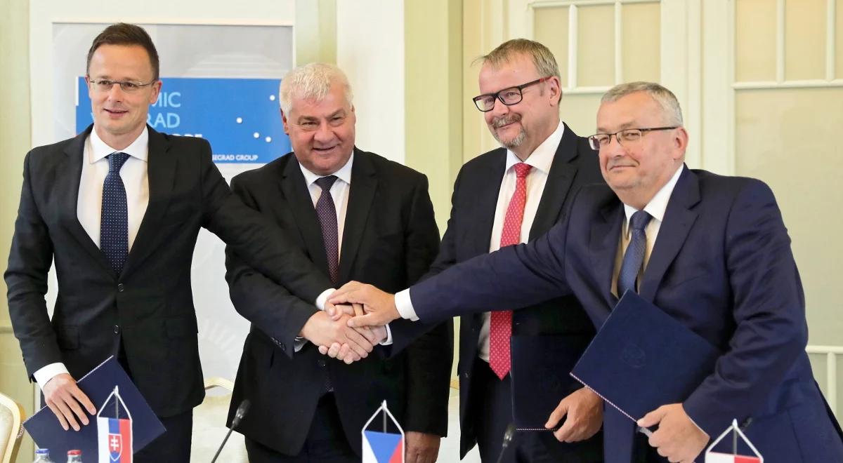 Via Carpatia i Kolej Wielkich Prędkości - wielkie inwestycje państw Grupy Wyszechradzkiej