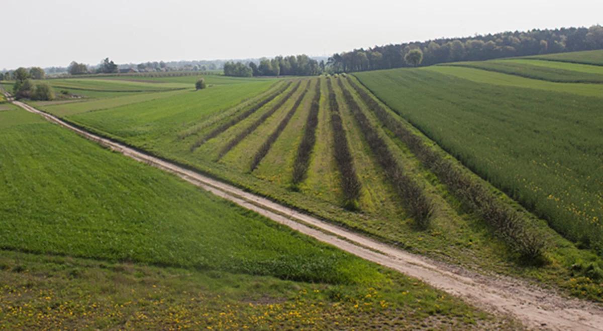 UE chce uprościć życie rolników, ale zyskać mogą także właściciele pól golfowych