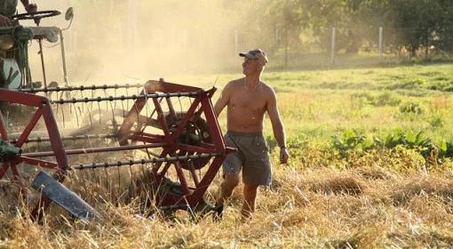 Rolnik zarabia o 45 proc. więcej niż 5 lat temu