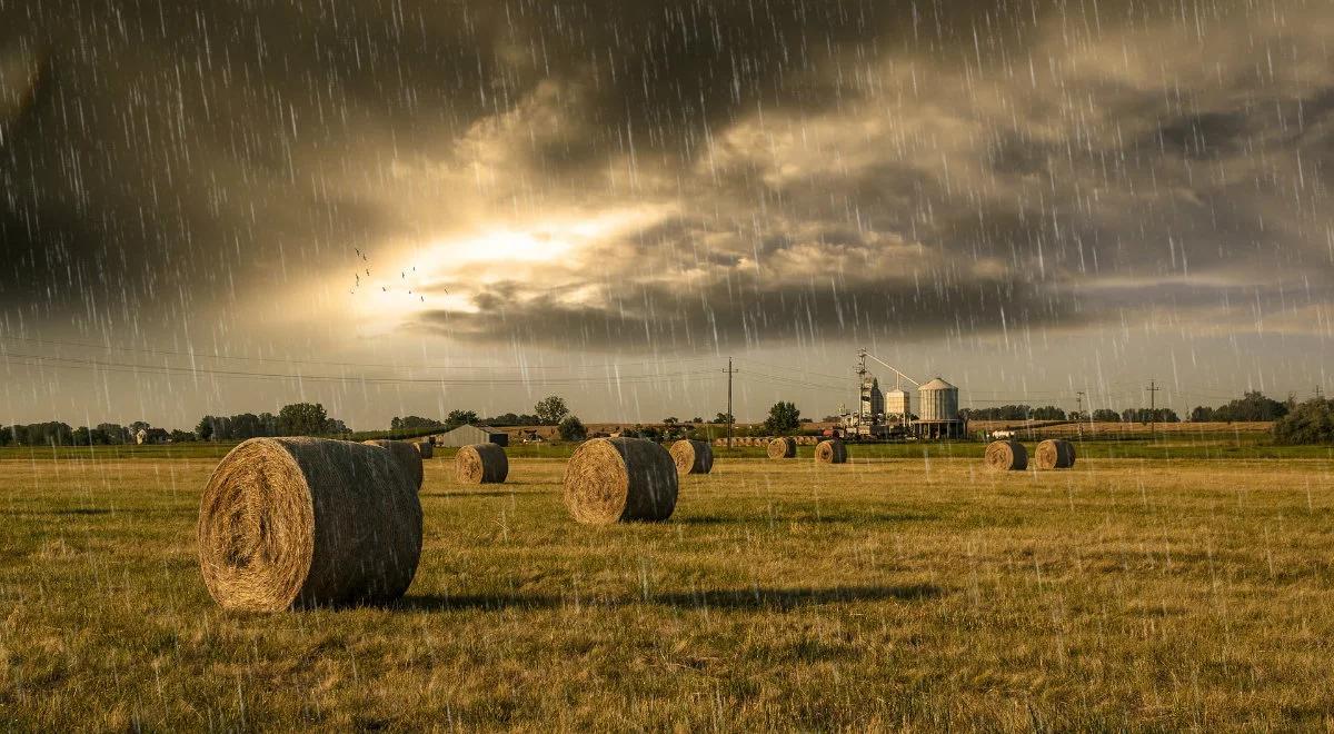 Deszczowa środa z możliwymi burzami. Miejscami zza chmur wyjrzy jednak słońce