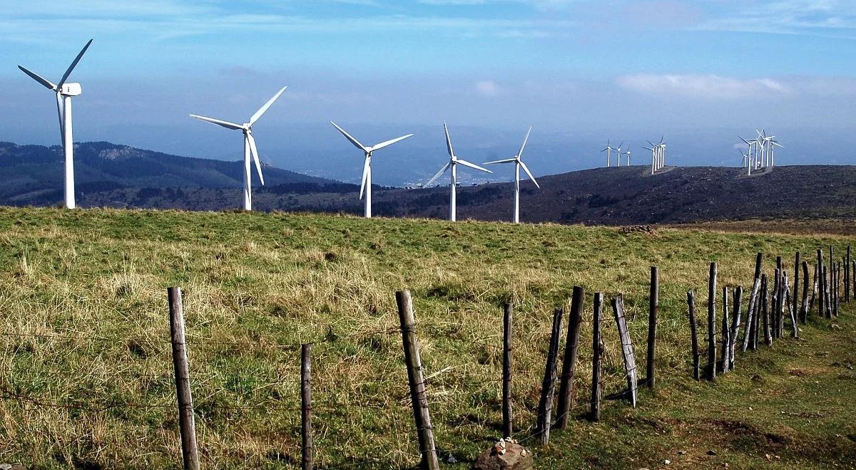 Nowelizacja ustawy o OZE dobije ostatecznie branżę zielonej energii?