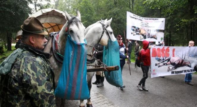 Morskie Oko: protest przeciwko transportowi konnemu. "Wygoda kosztuje życie"