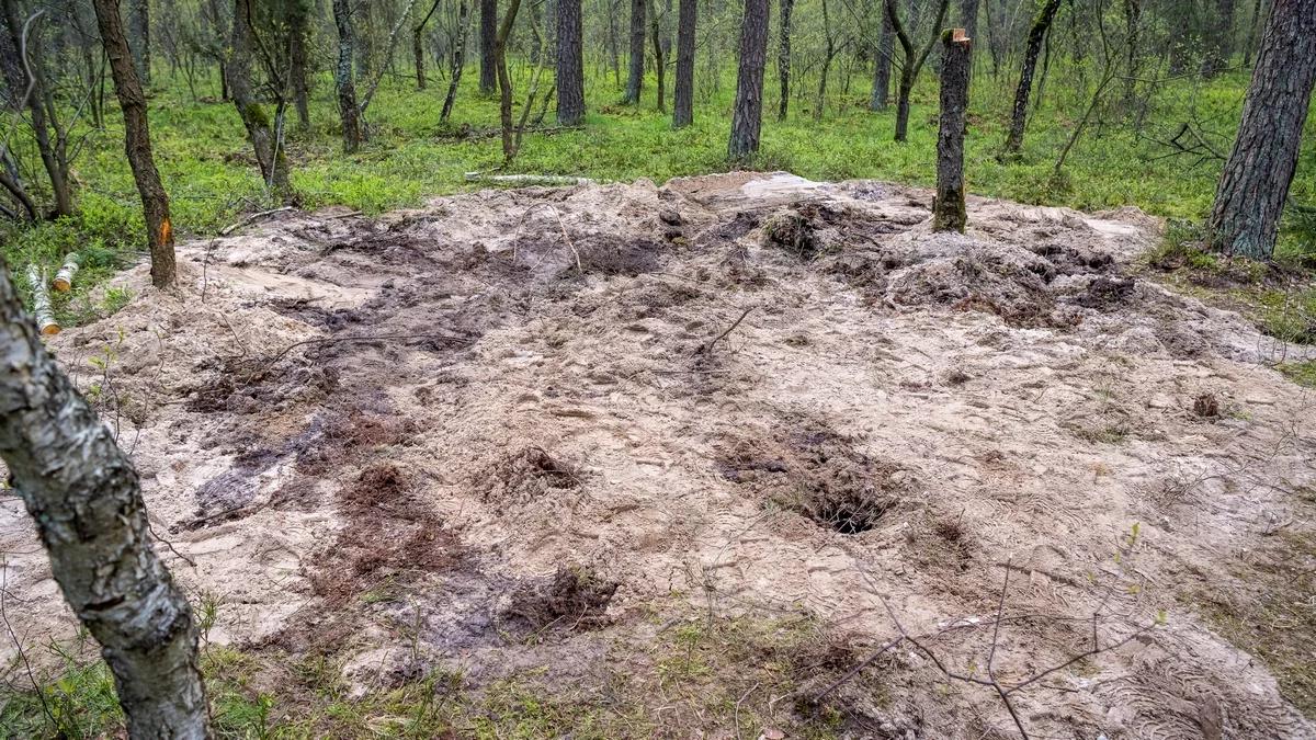 Szczątki obiektu wojskowego w lesie pod Bydgoszczą. Szrot: nie wpłynął oficjalny raport