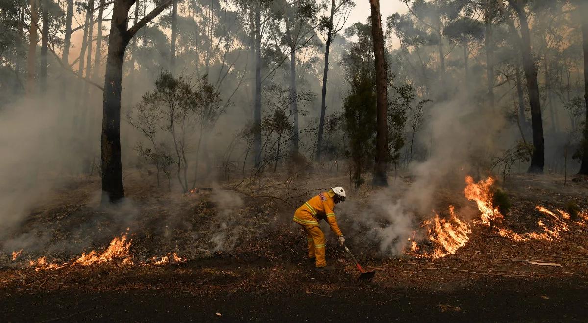 Australia płonie, ale jest nadzieja. Prognozowane są opady deszczu