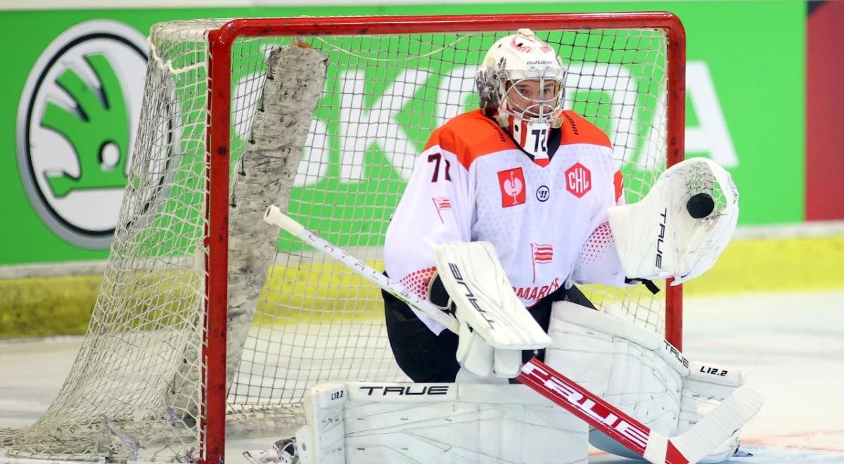 Hokejowa LM: Cracovia rozbita przez Straubing Tigers
