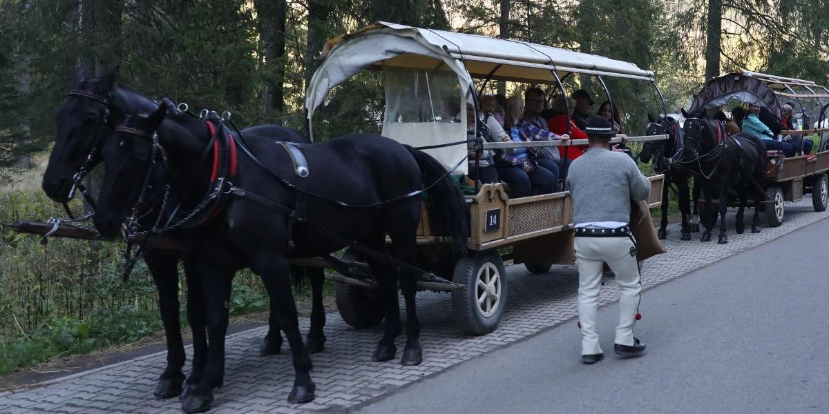 Weterynarz: likwidacja transportu do Morskiego Oka oznacza pogrom 300 koni