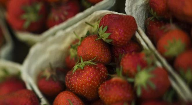 Ceny owoców i warzyw: drożeją truskawki, czereśnie, tańsze jagody leśne