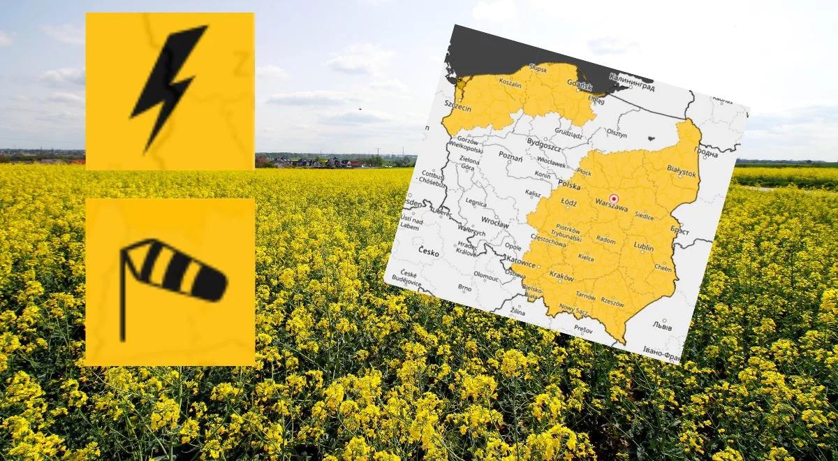 W weekend załamanie pogody. Będzie chłodniej, deszczowo. Mogą wystąpić burze