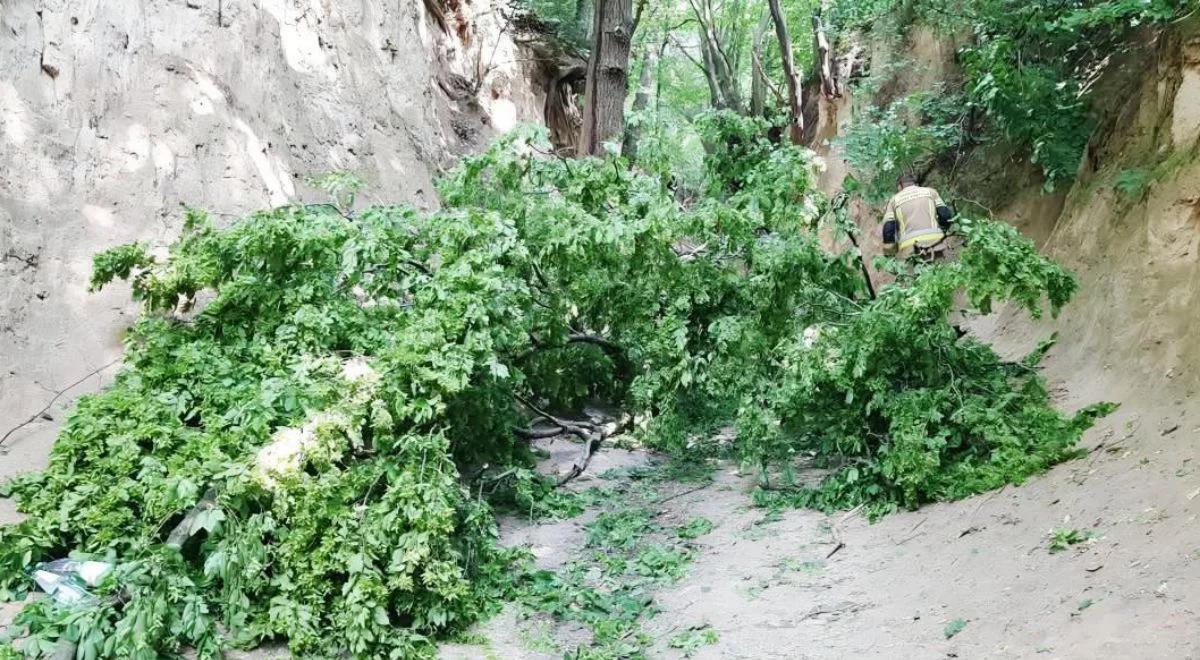Gałąź spadła na dzieci w Kazimierzu Dolnym. Wielu poszkodowanych