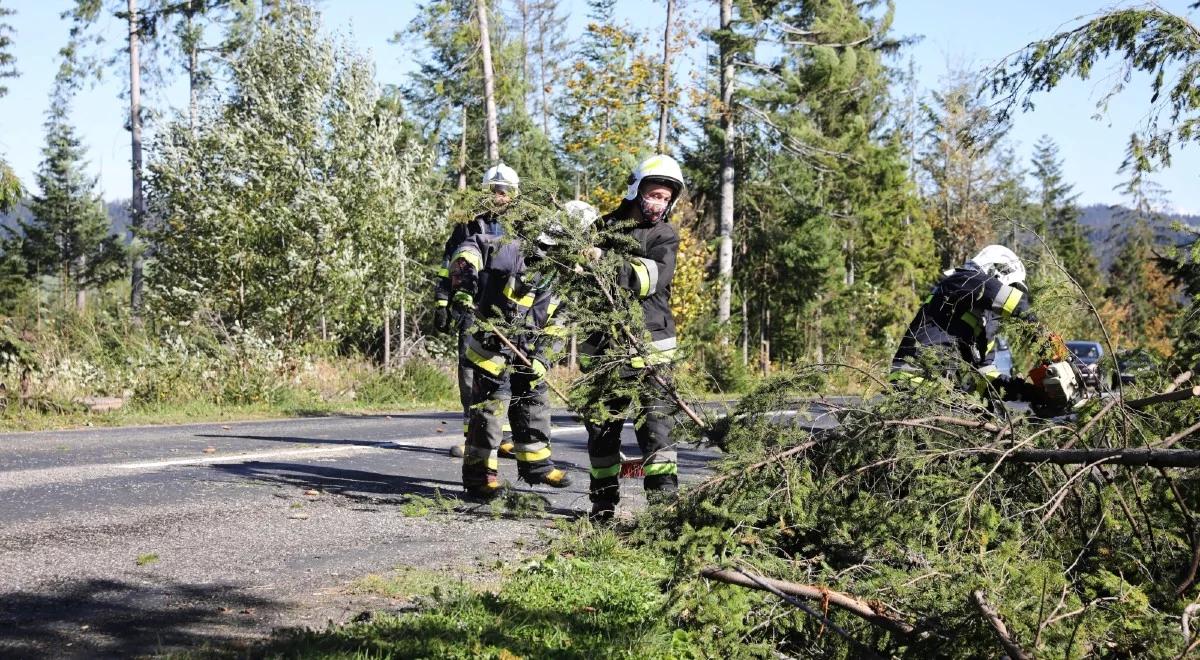 Połamane drzewa, zniszczone łodzie na jeziorach. Prawie 1,7 tys. interwencji z powodu burz