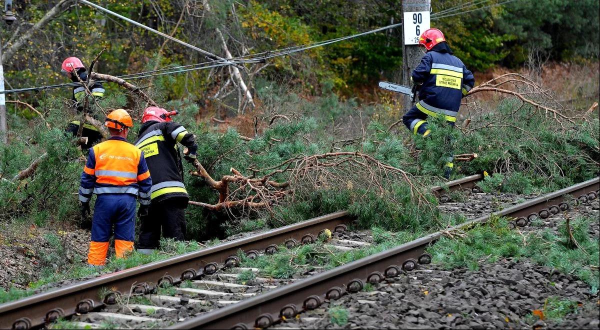 Śląskie. Chwile grozy na kolei. Drzewo podczas wichury wybiło szyby w pociągu ze 105 pasażerami