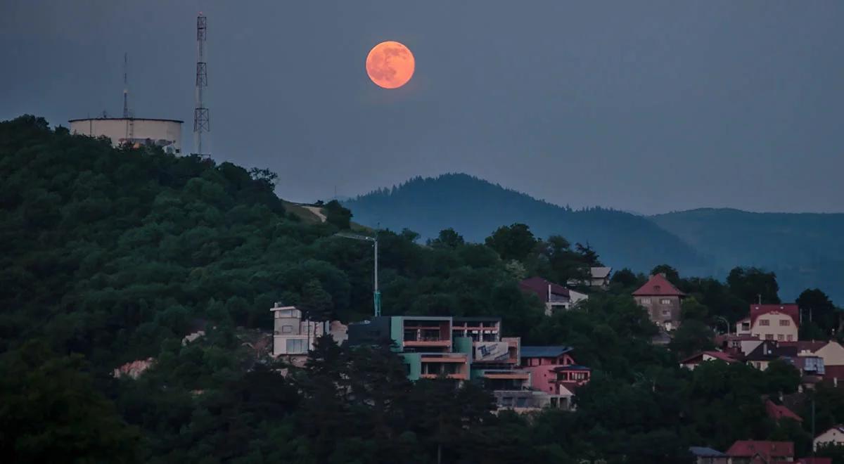 Zaćmienie "truskawkowego" Księżyca. Astronomowie wyjaśniają