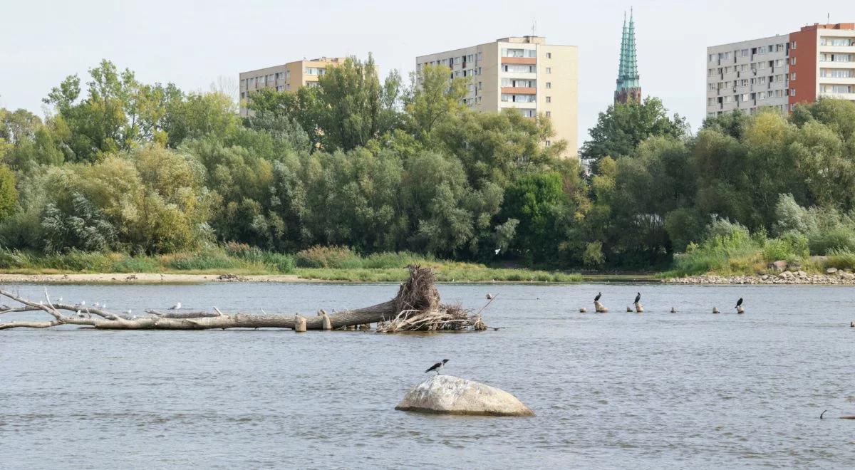 Niskie stany wód na rzekach. W Warszawie padł kolejny rekord