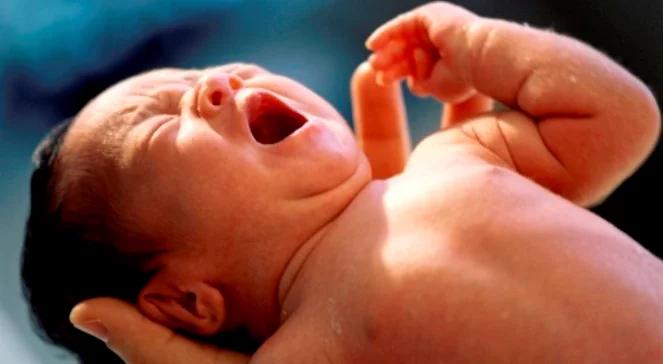 Potrzeba szybkich adopcji. Dzieci nie mogą czekać