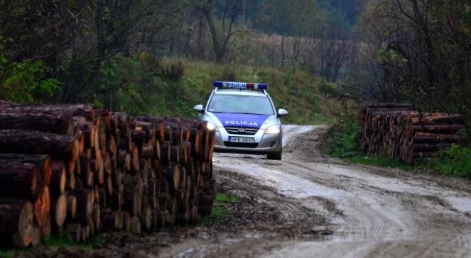 Bieszczady: niedźwiedzia wytropi grupa specjalna. Ostrzeżenie dla turystów