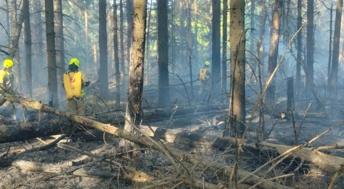 Pożar przy granicy ze Słowacją ugaszony. Strażacy walczyli z ogniem kilka godzin