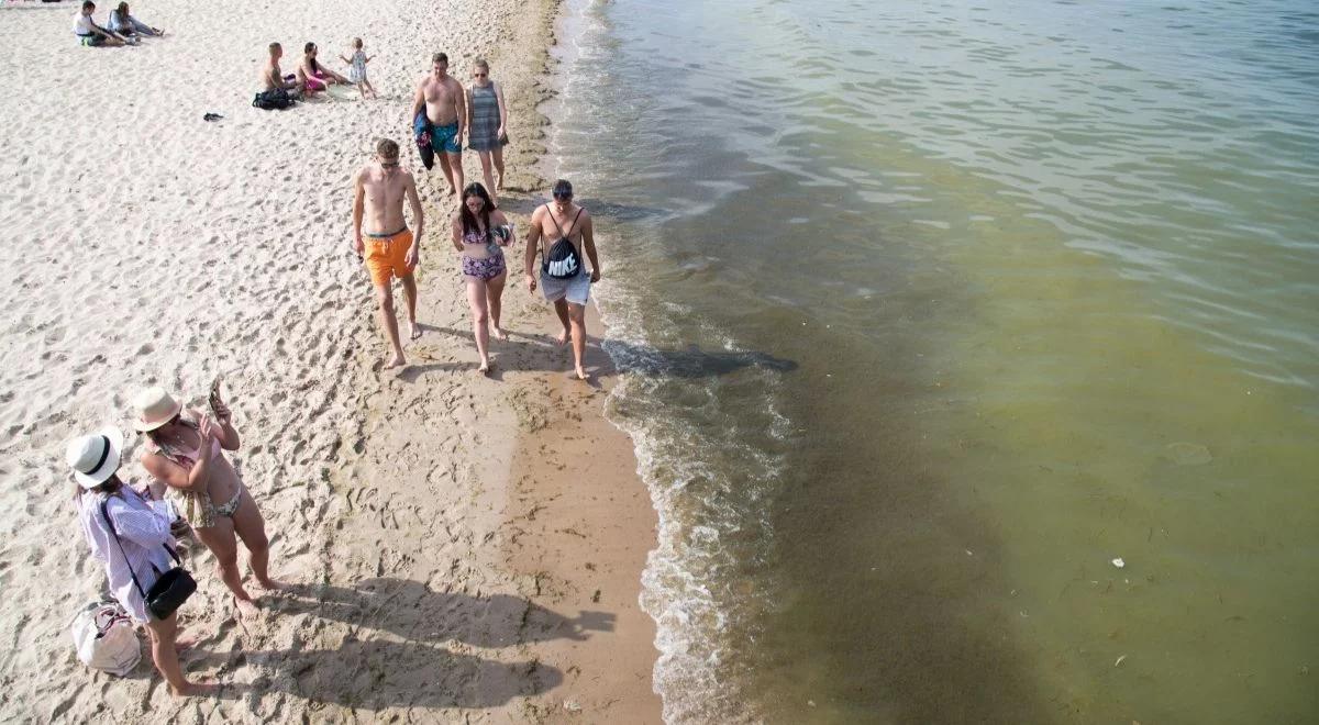 Sinice w kolejnych kąpieliskach. GIS apeluje o rozwagę. "Glony mogą zagrozić zdrowiu"