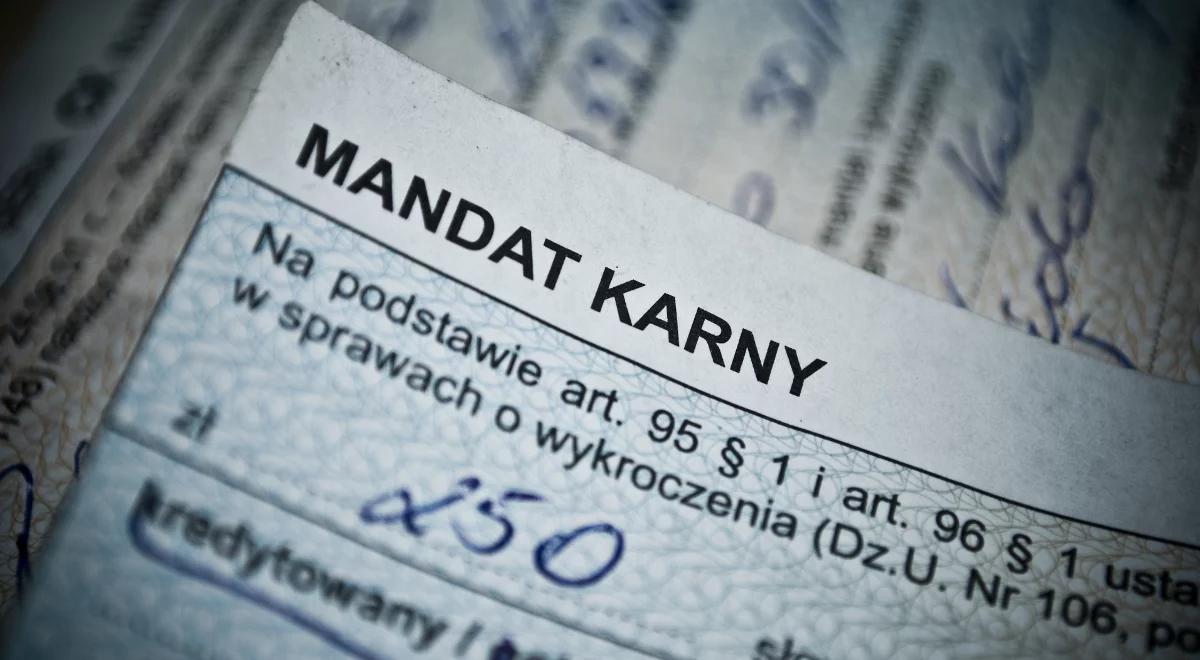 "Nie narusza domniemania niewinności". Warchoł o projekcie ws. mandatów