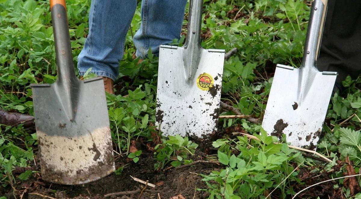 Sezon na sezonową pracę w Europie rozpoczęty