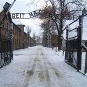 Politycy o kradzieży w Auschwitz