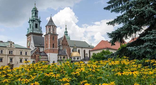 Mieszkańcy miast mogą wpływać na poprawę klimatu w miejscu, gdzie żyją