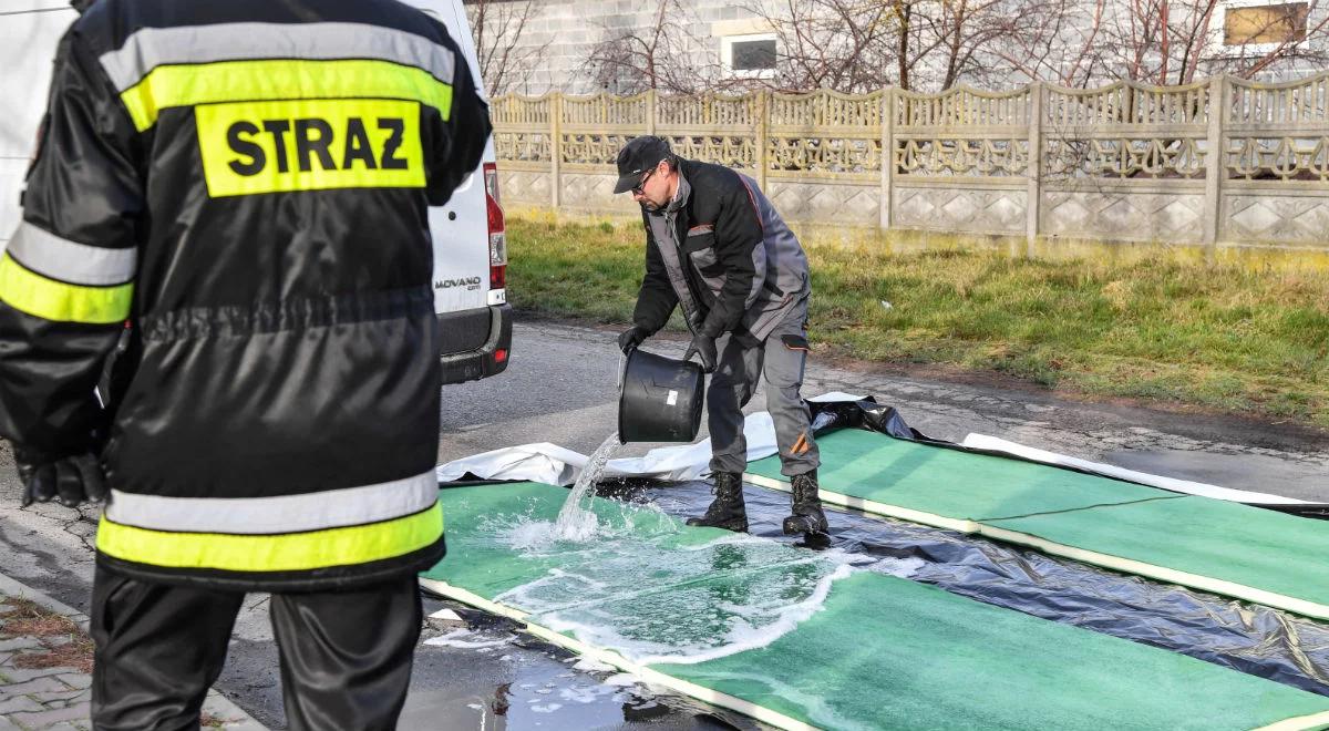 GIS uspokaja: wirus ptasiej grypy nie jest groźny dla ludzi 