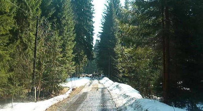 Zgubili się idąc na sylwestra. Odnalazł ich GOPR