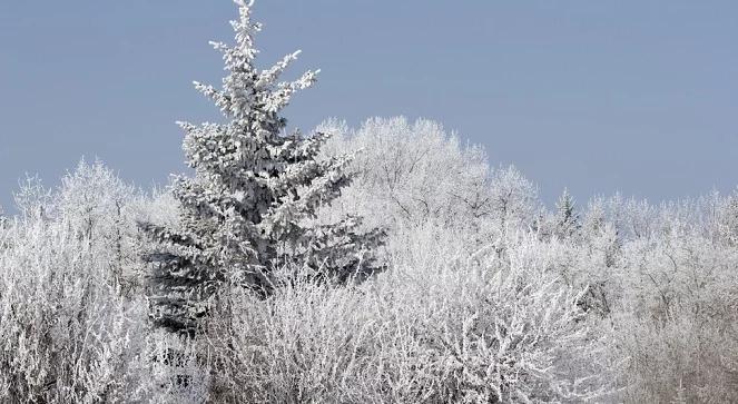 W czwartek wraca zima. Na razie ta astronomiczna