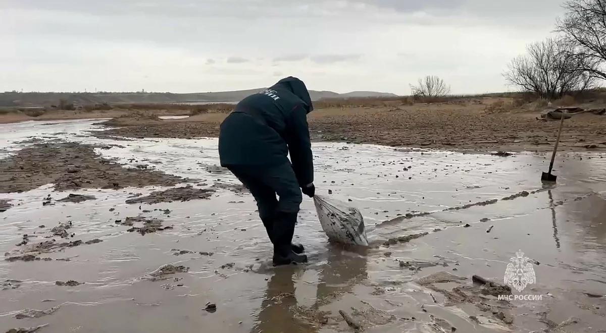 Katastrofa ekologiczna. Wyciek z rosyjskich tankowców odkryto w kolejnych miejscach