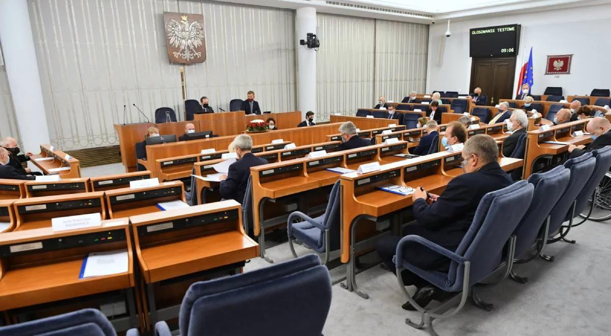 "Opozycja zakładnikiem swoich stanowisk politycznych". Politolog o pracach nad ustawą o ochronie zwierząt