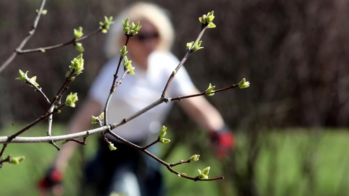 Czwartek ani chłodny, ani gorący. Nad morzem więcej chmur i deszcz