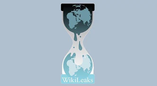 Zwolennicy WikiLeaks powołali Fundację Wolności Prasy